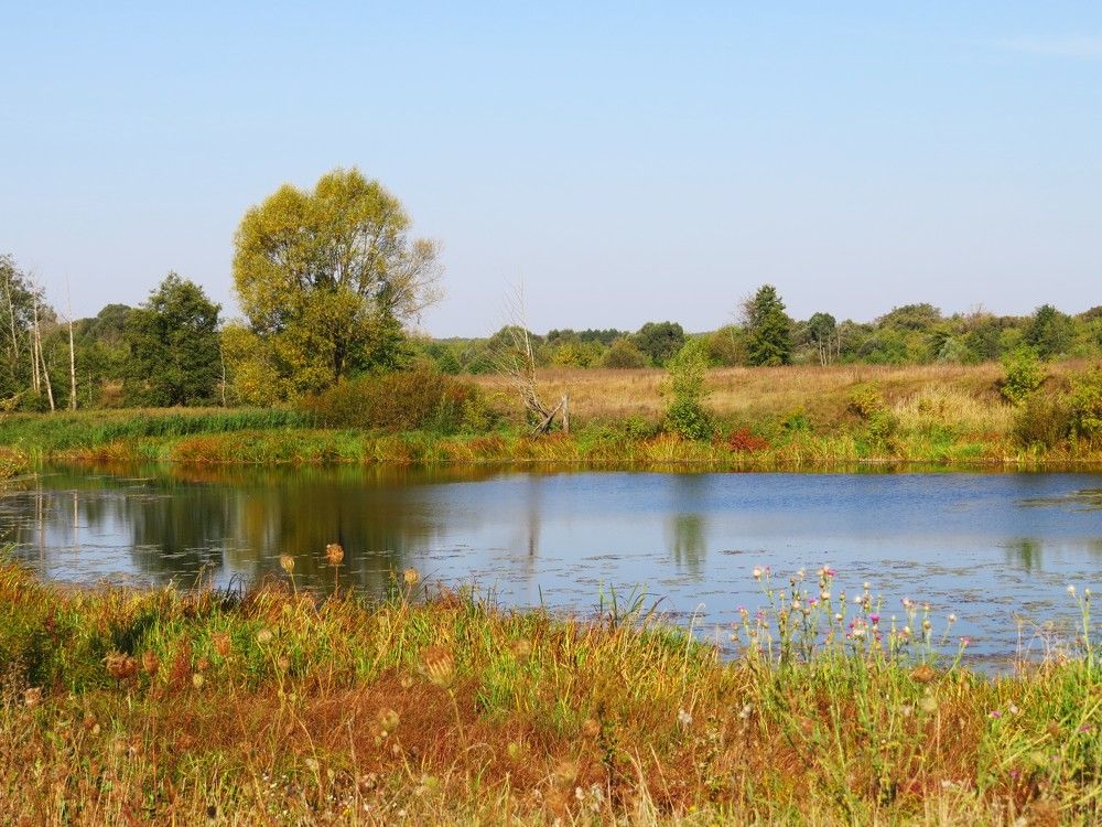 Photograph by Лариса Басова