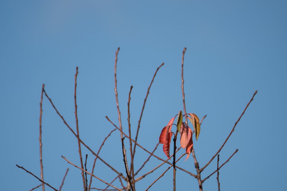 Photograph by Римма Волченко