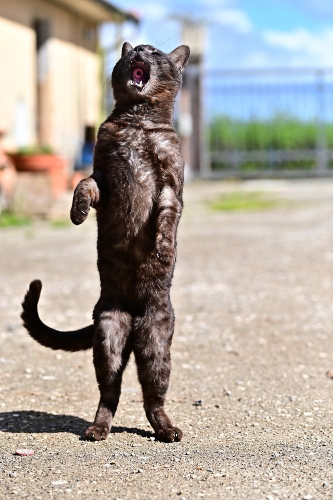 Photograph by Светлана Ивановна