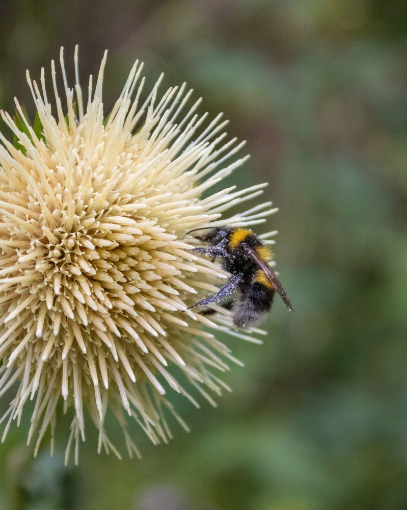 Photograph by Katerina Makhtadui