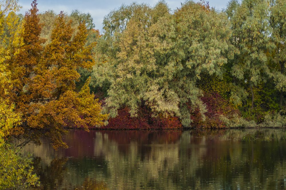 Фотография автора Юлия Парамонова