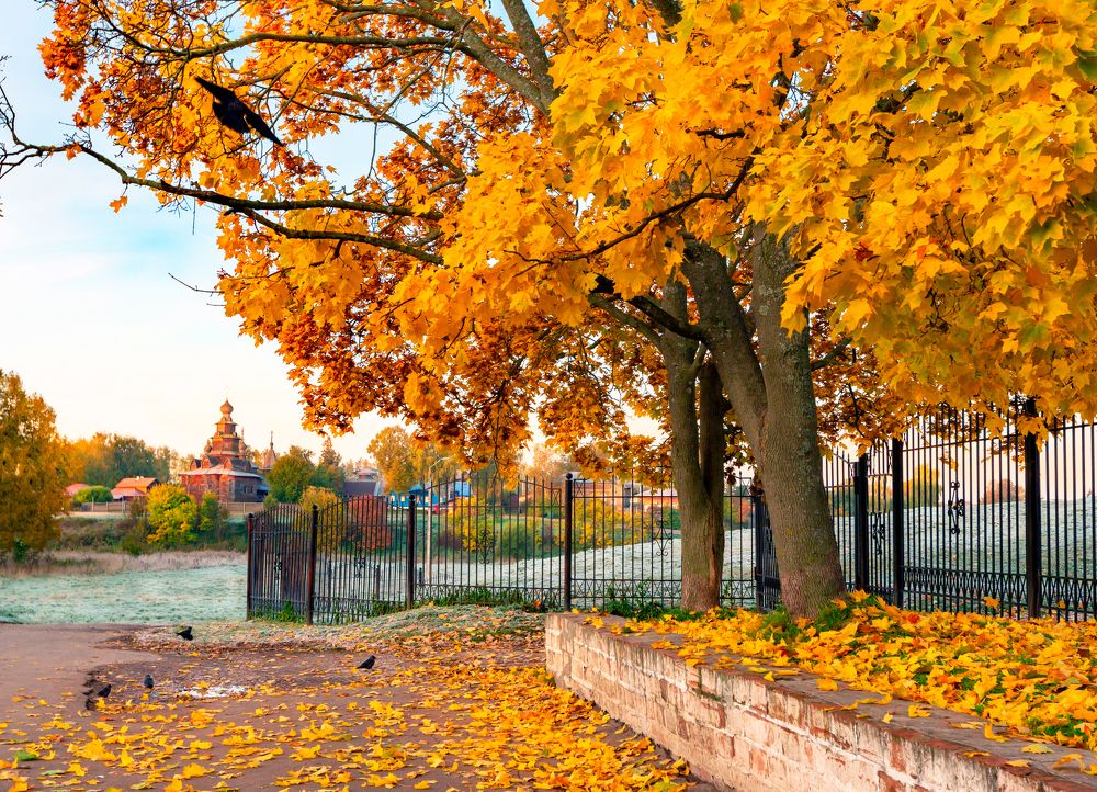 Фотография автора Людмила Прокофьева