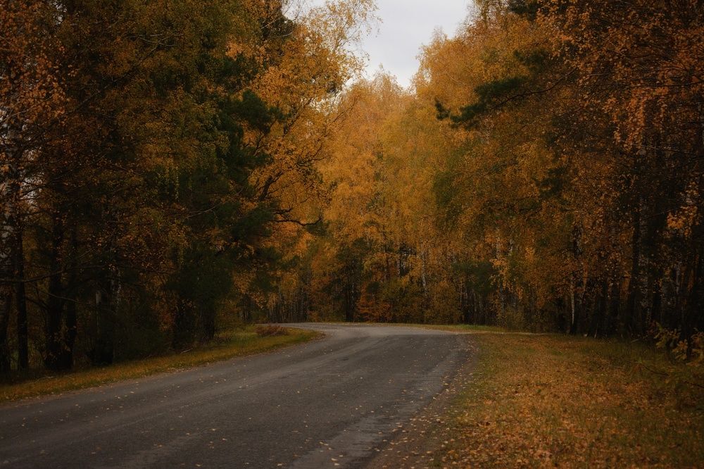 Photograph by Сергей Симаков