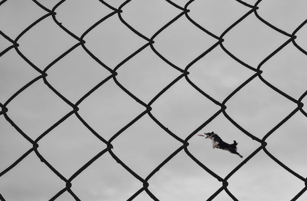 Photograph by Konstantin Martynov