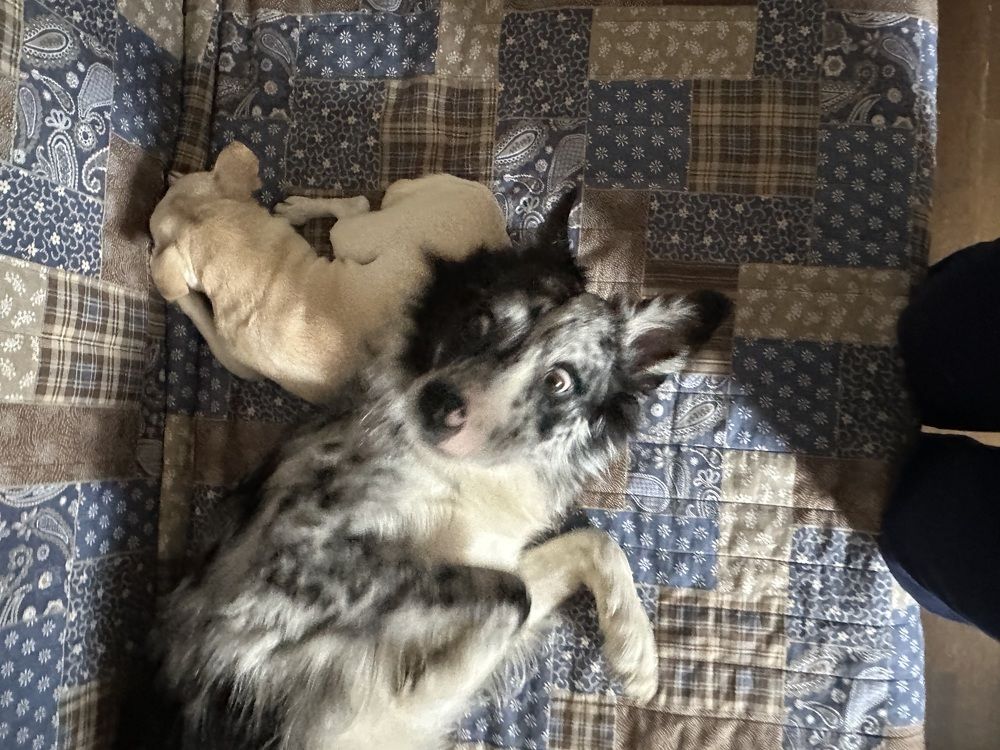 Фотография автора Наталья Старикова