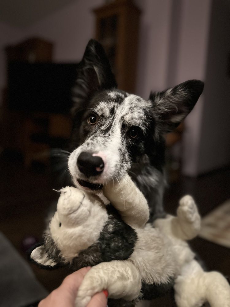 Фотография автора Наталья Старикова