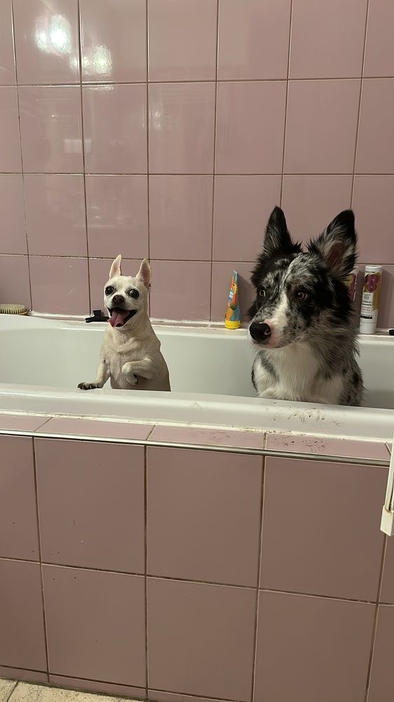 Фотография автора Наталья Старикова