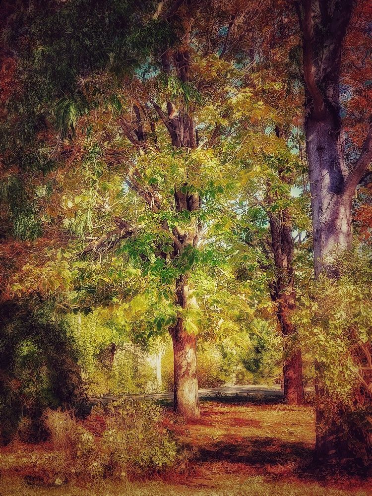 Photograph by Нина Паршина