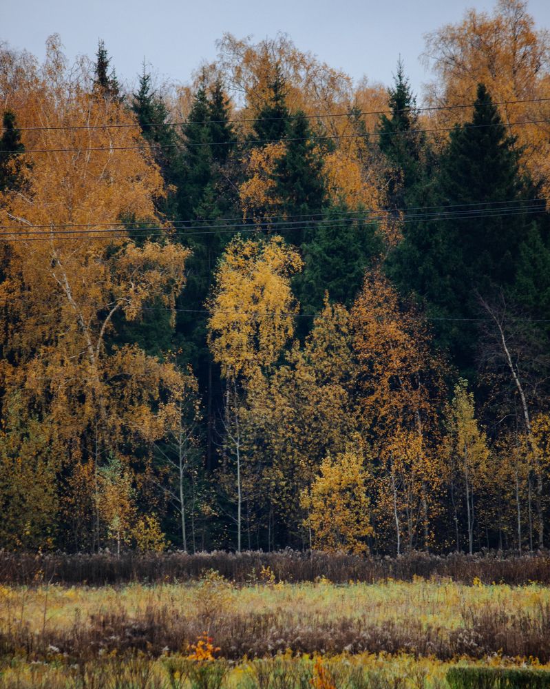 Photograph by Mikhail