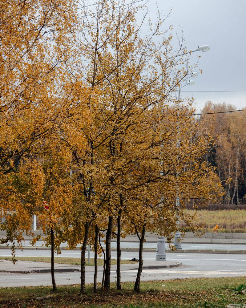 Photograph by Mikhail