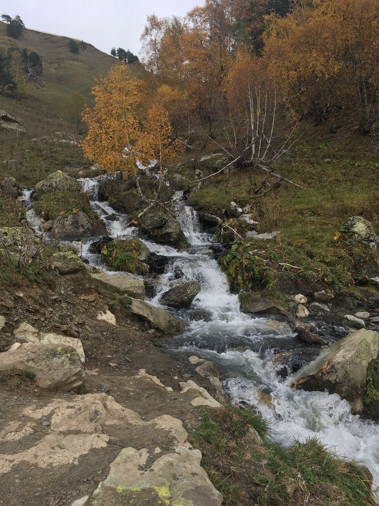 Фотография автора Ксения