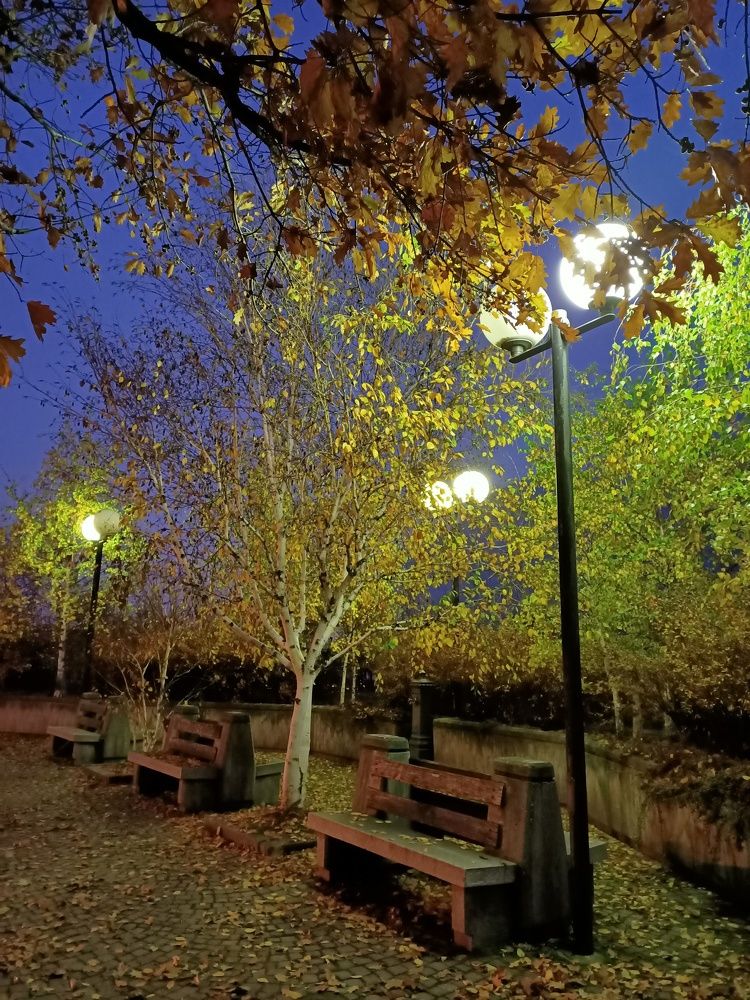 Фотография автора Elvira Minigulova