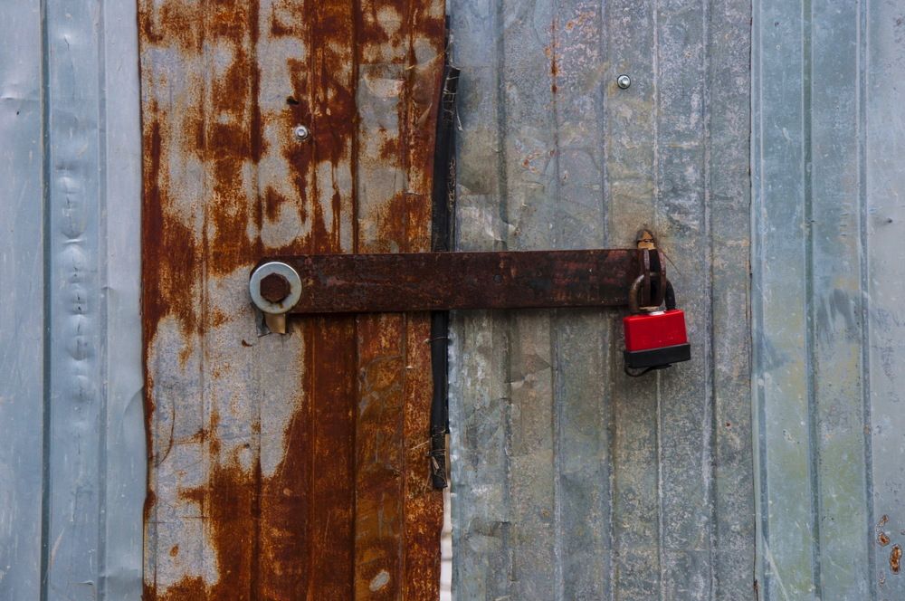 Photograph by Ольга Шуякова