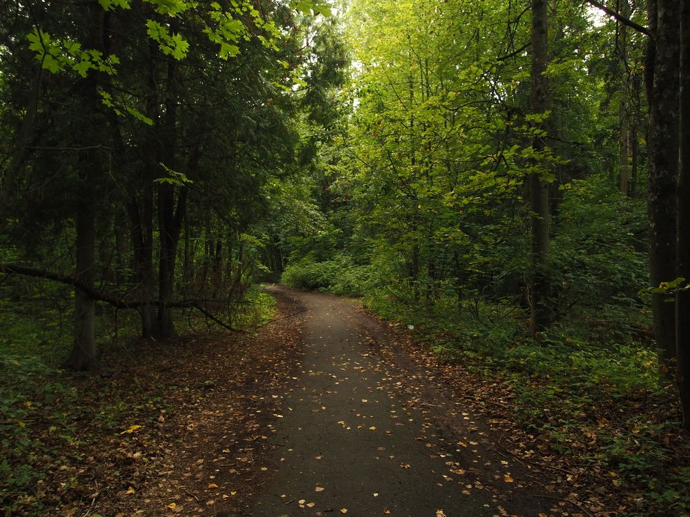 Photograph by Ольга