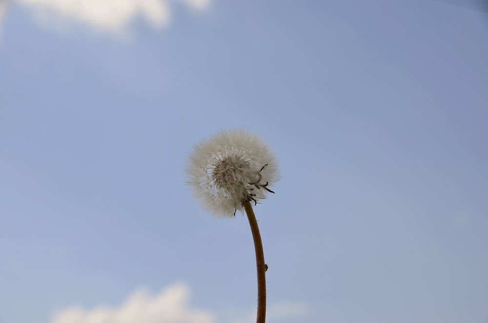 Photograph by Светлана Семенова