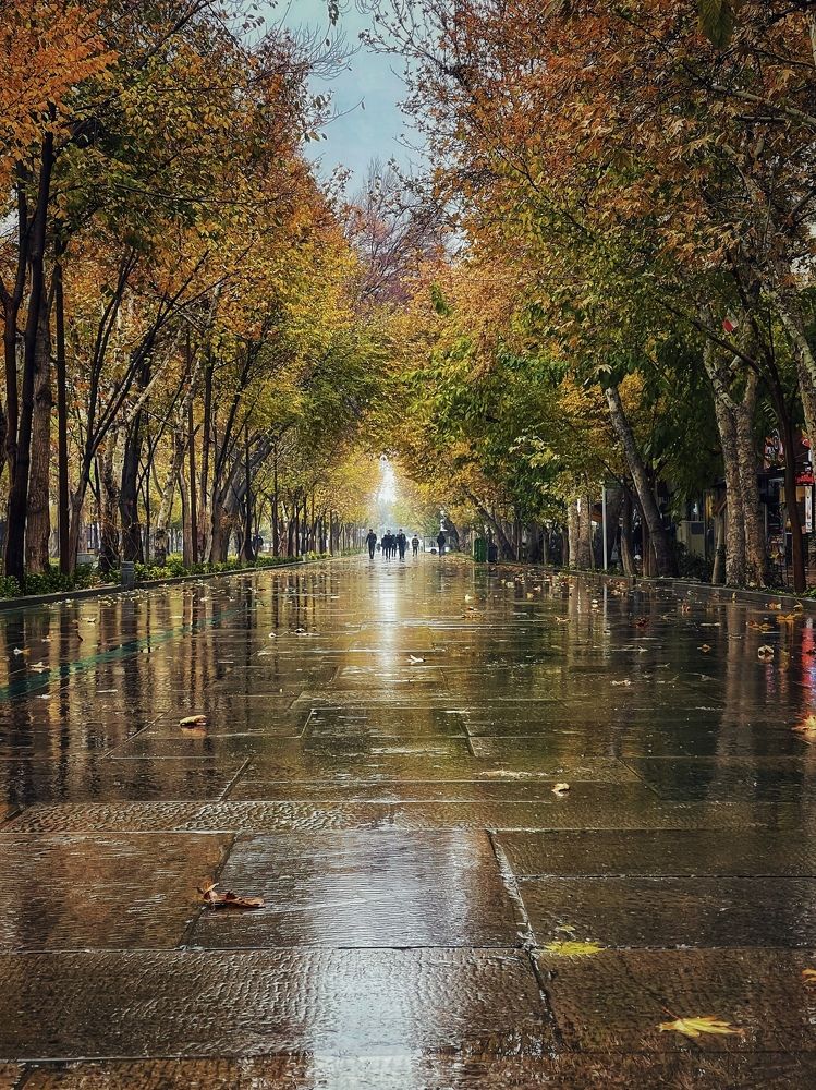 Photograph by Shahrzad Kadkhodae