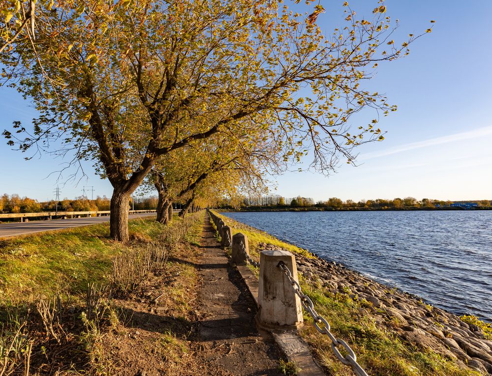 Photograph by Ксения Определенкова