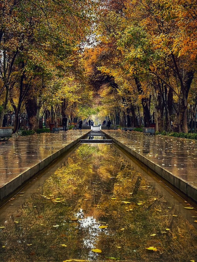 Photograph by Shahrzad Kadkhodae