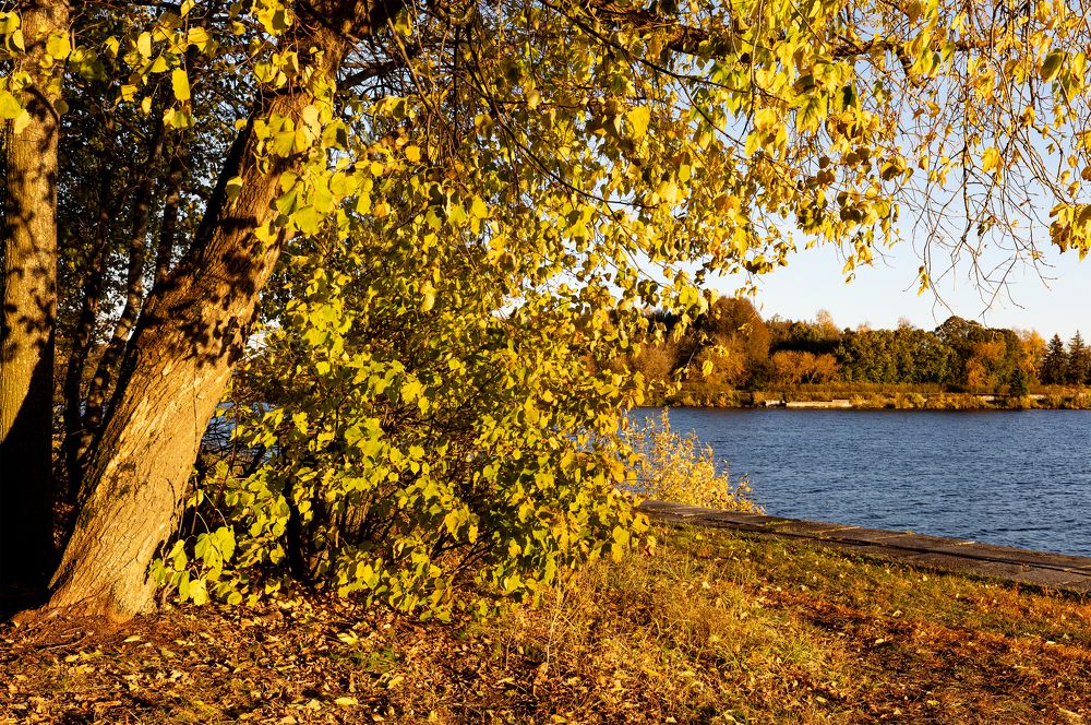 Photograph by Ксения Определенкова