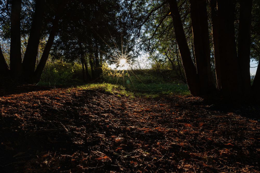 Photograph by Ксения Определенкова