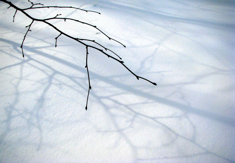 Photograph by Татьяна Захарова
