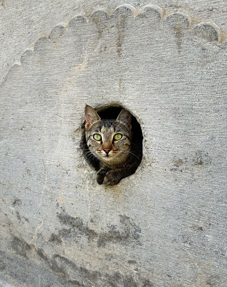 Photograph by Shahrzad Kadkhodae