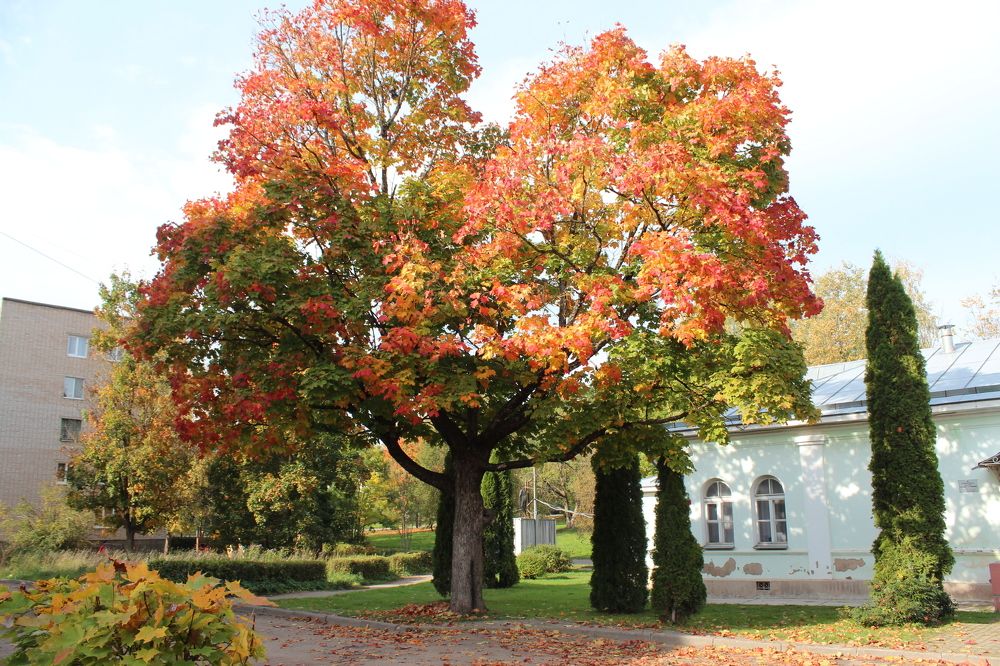 Photograph by Елена Терскова