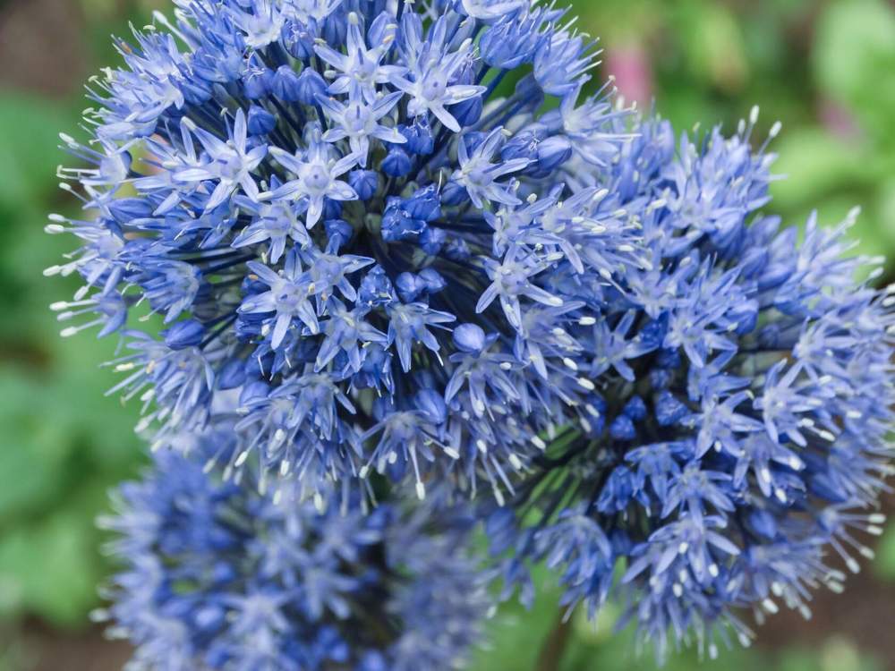 Photograph by Анжелика Трошина