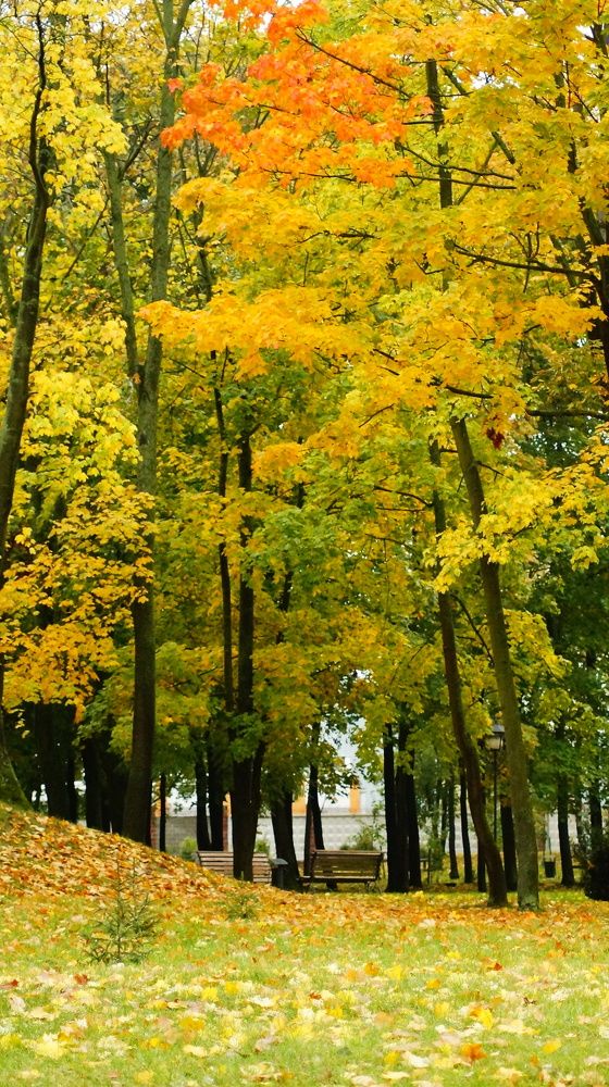 Photograph by Юля Хатыпова