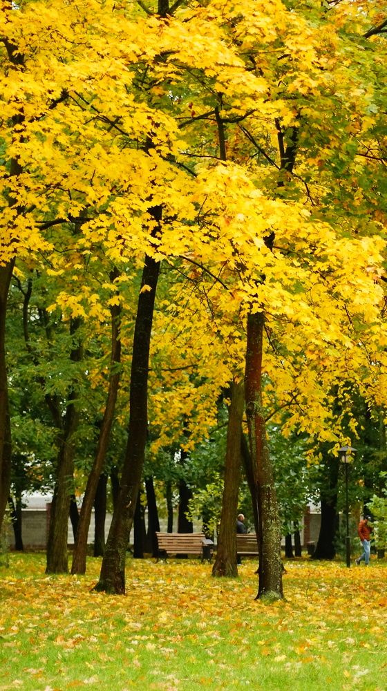 Photograph by Юля Хатыпова