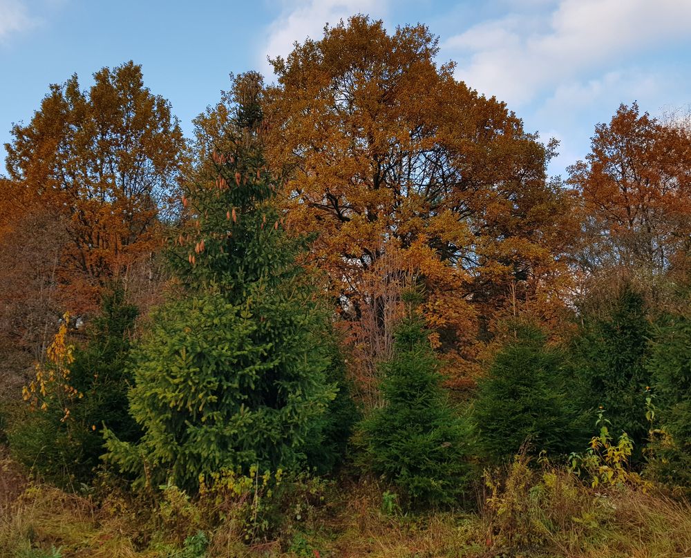 Photograph by Nataliya Kalinina