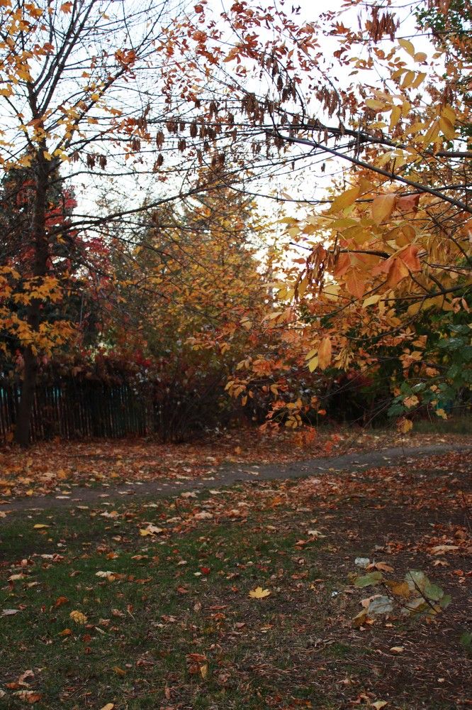 Photograph by Дарья Колесниченко