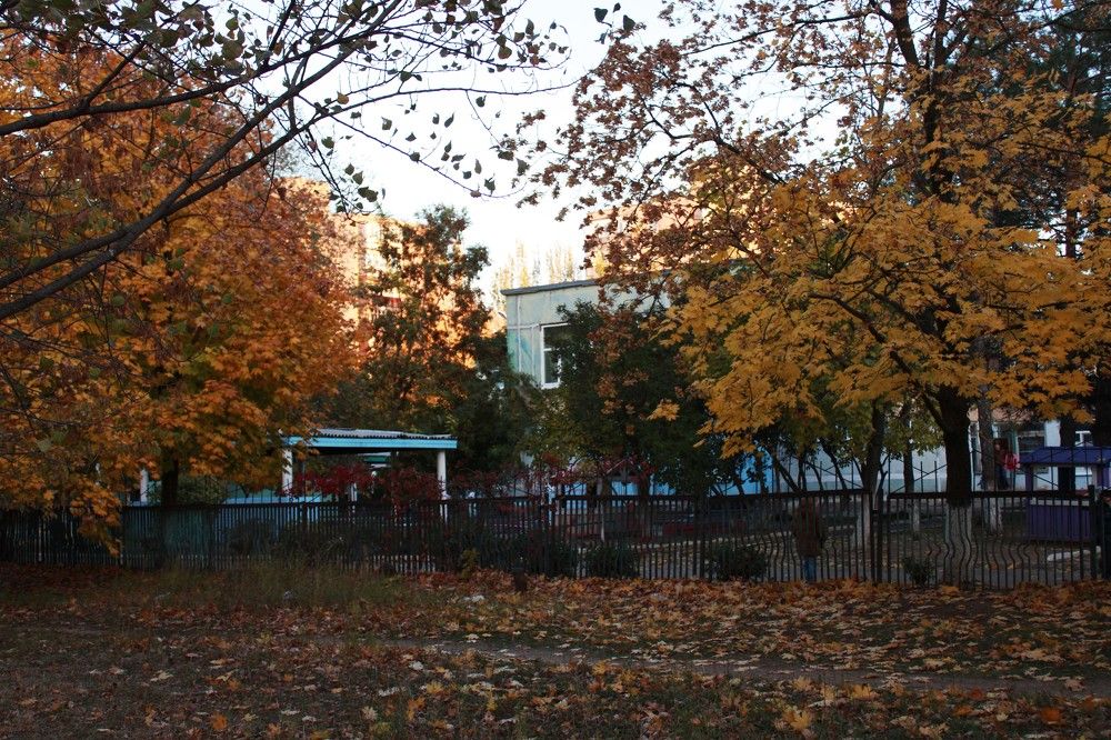 Photograph by Дарья Колесниченко