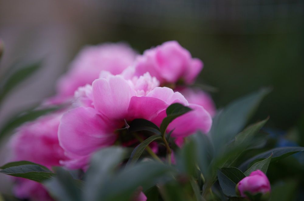 Photograph by Марина Вильдяева