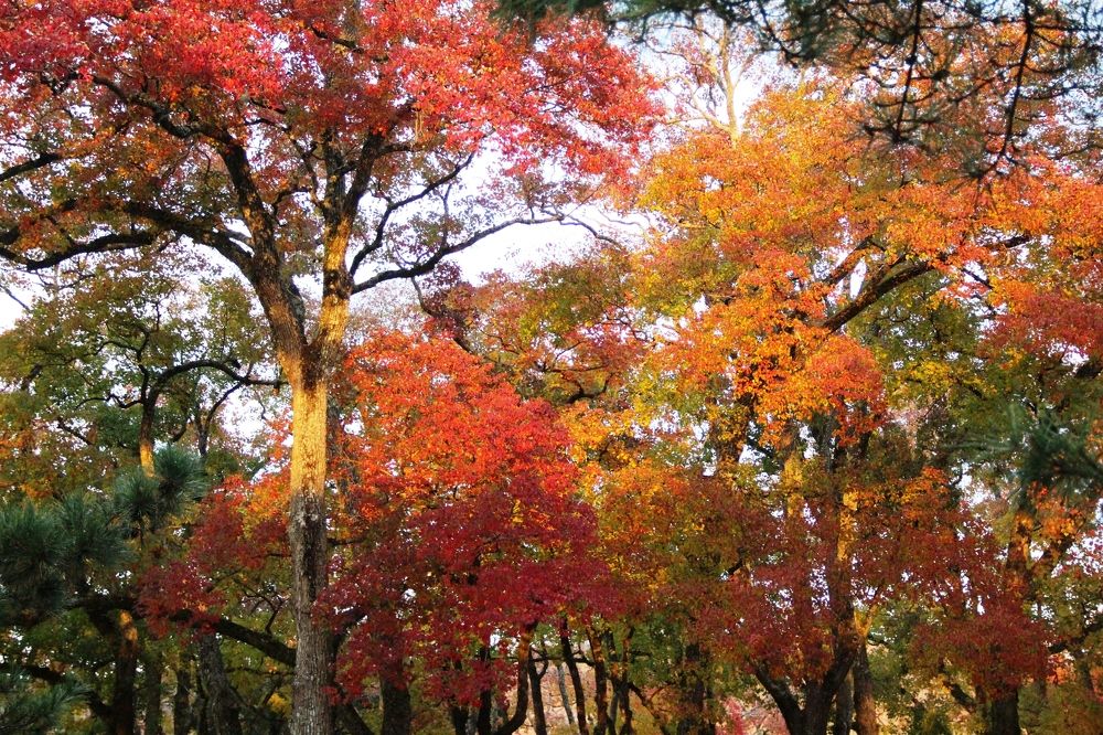 Photograph by Валентина