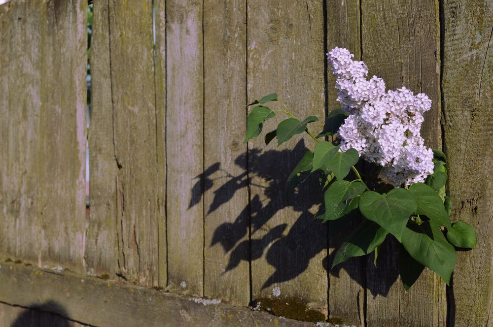 Photograph by Наталья Маслова