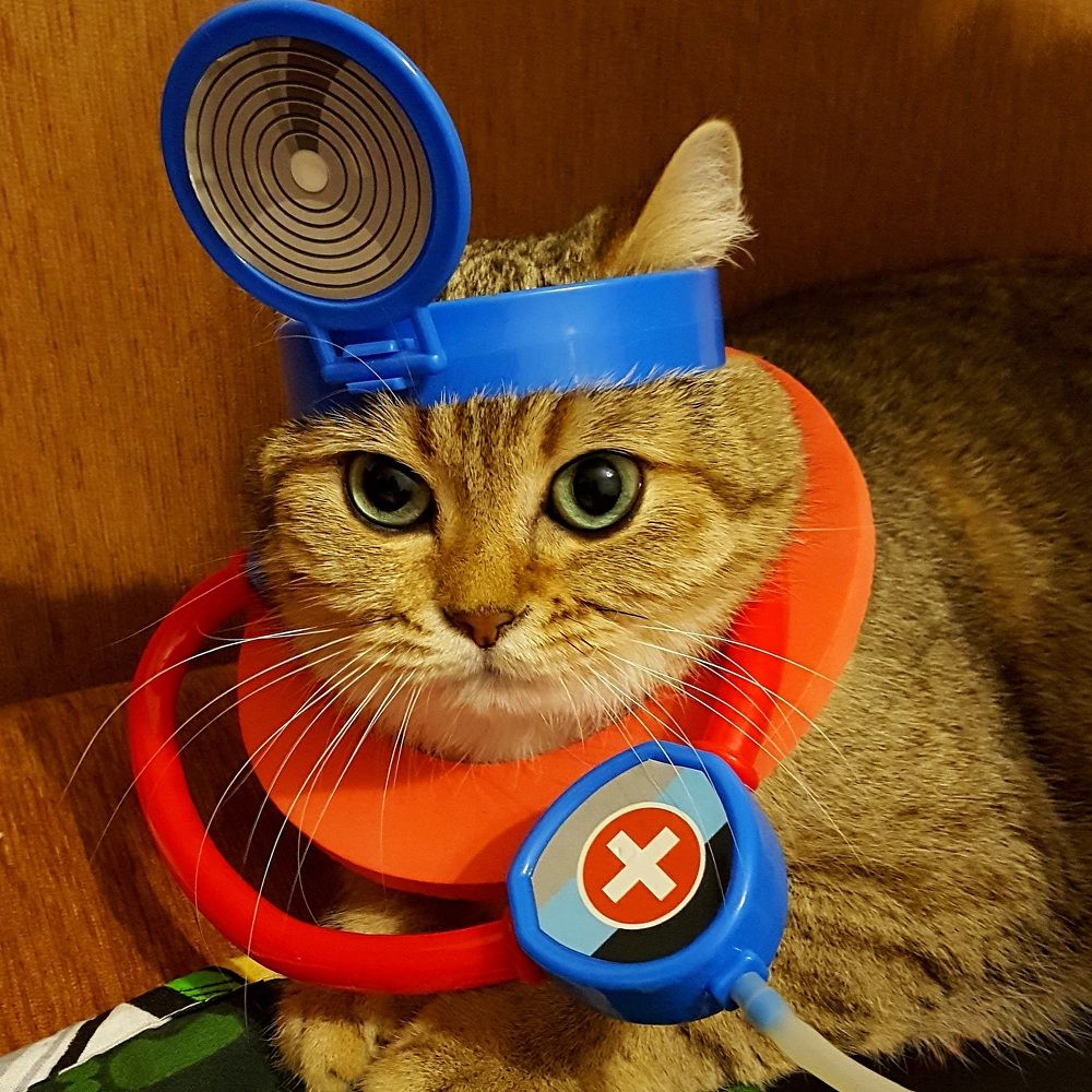 Photograph by Ольга Лысенко