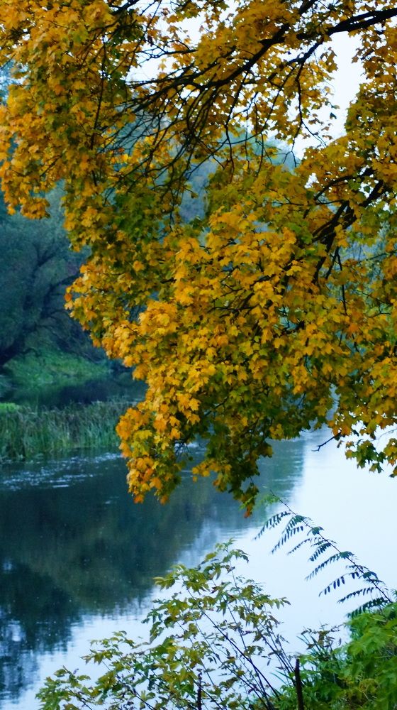 Photograph by Юля Хатыпова