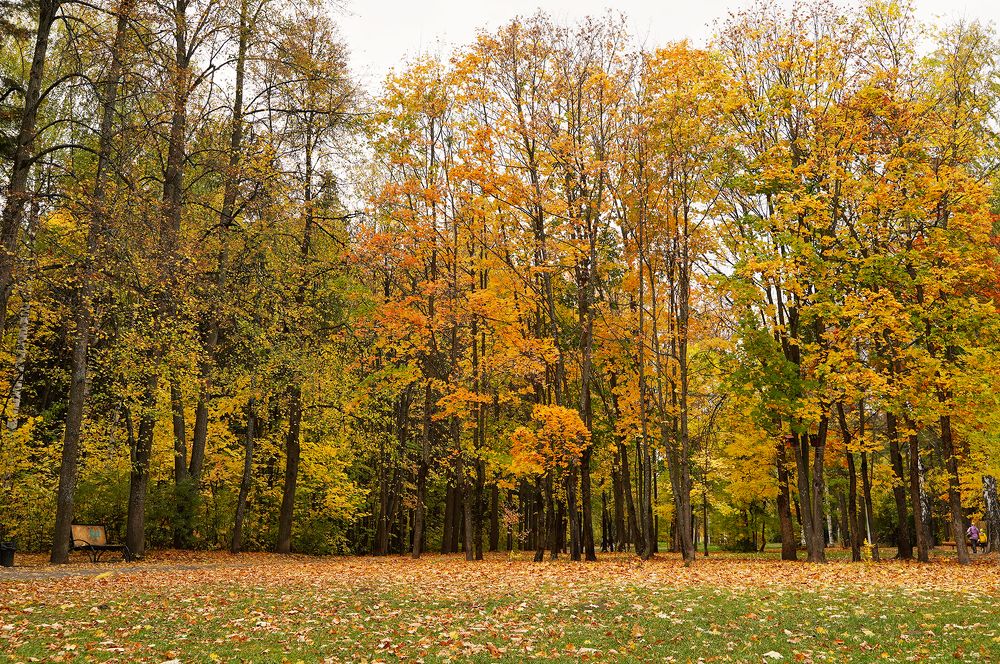 Photograph by Светлана Семенова