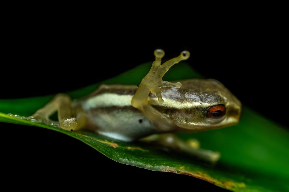 Photograph by prasad hamine