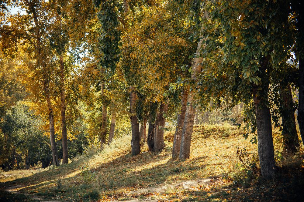 Photograph by Мария Грин (Сычёва)