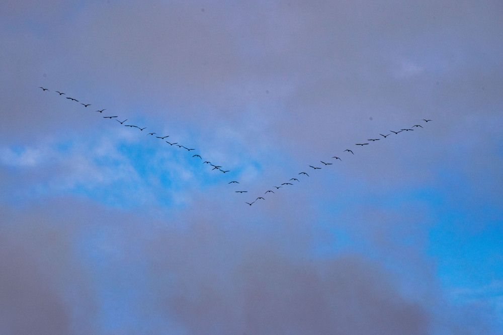 Photograph by Наталья Зверева