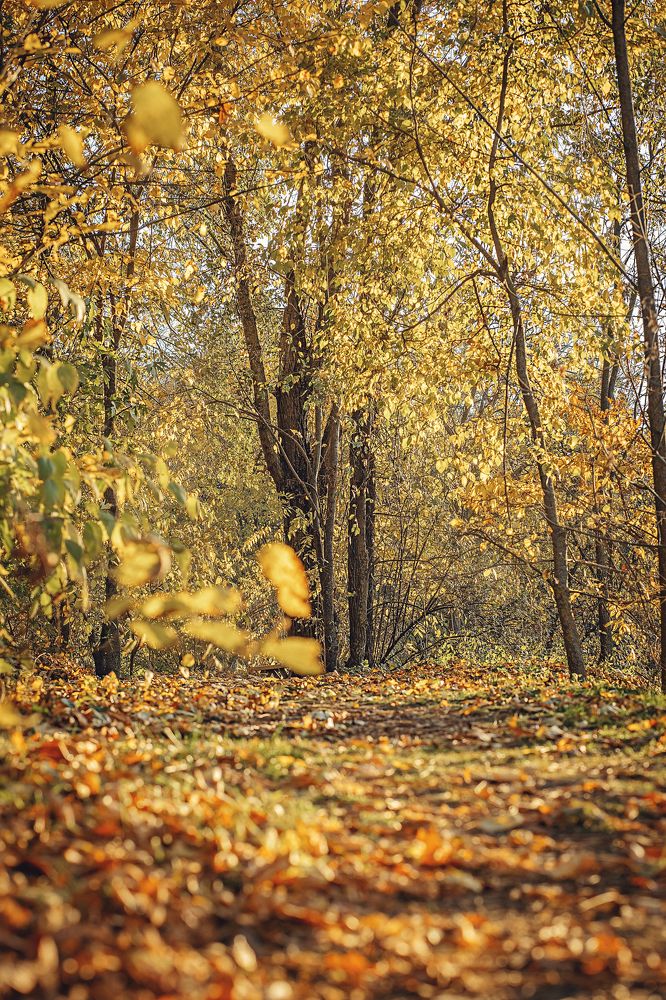 Photograph by Екатерина Никоненко