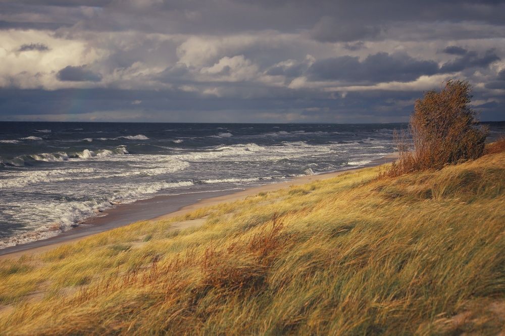 Фотография автора Елена Кириллова