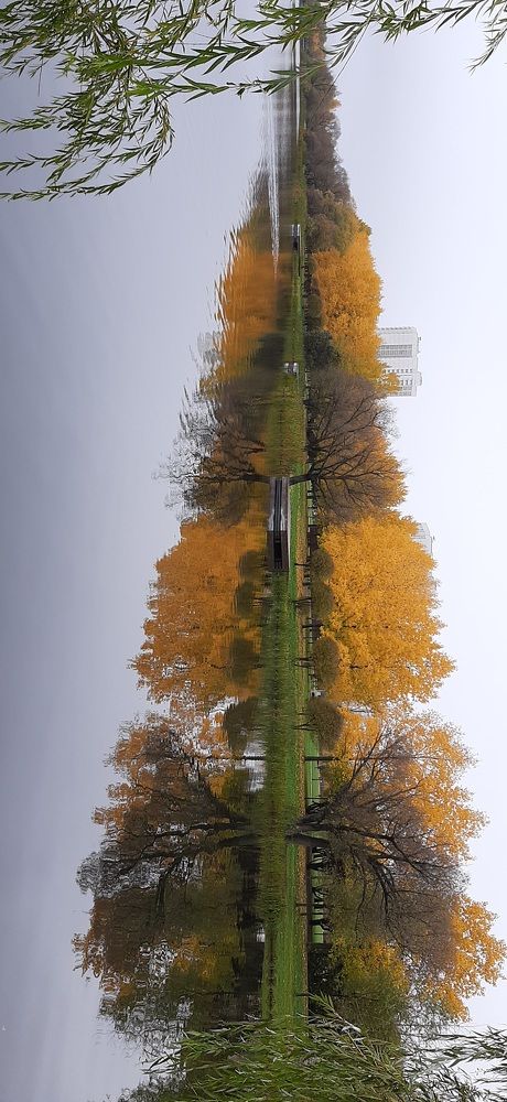 Фотография автора Клюева Наталья