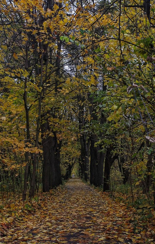 Photograph by Ирина Шилина