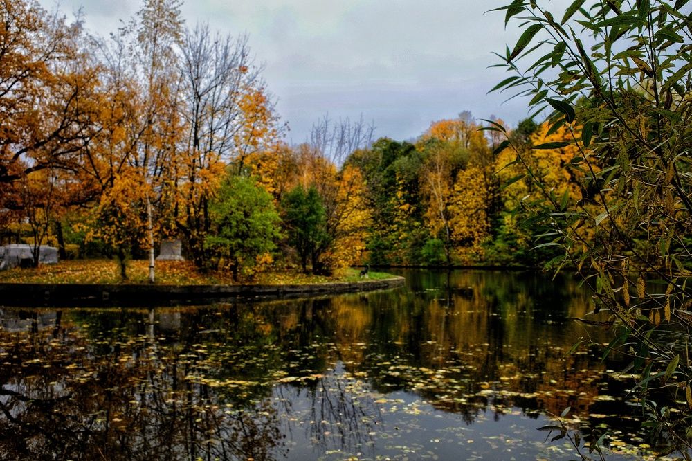 Photograph by Ирина Шилина