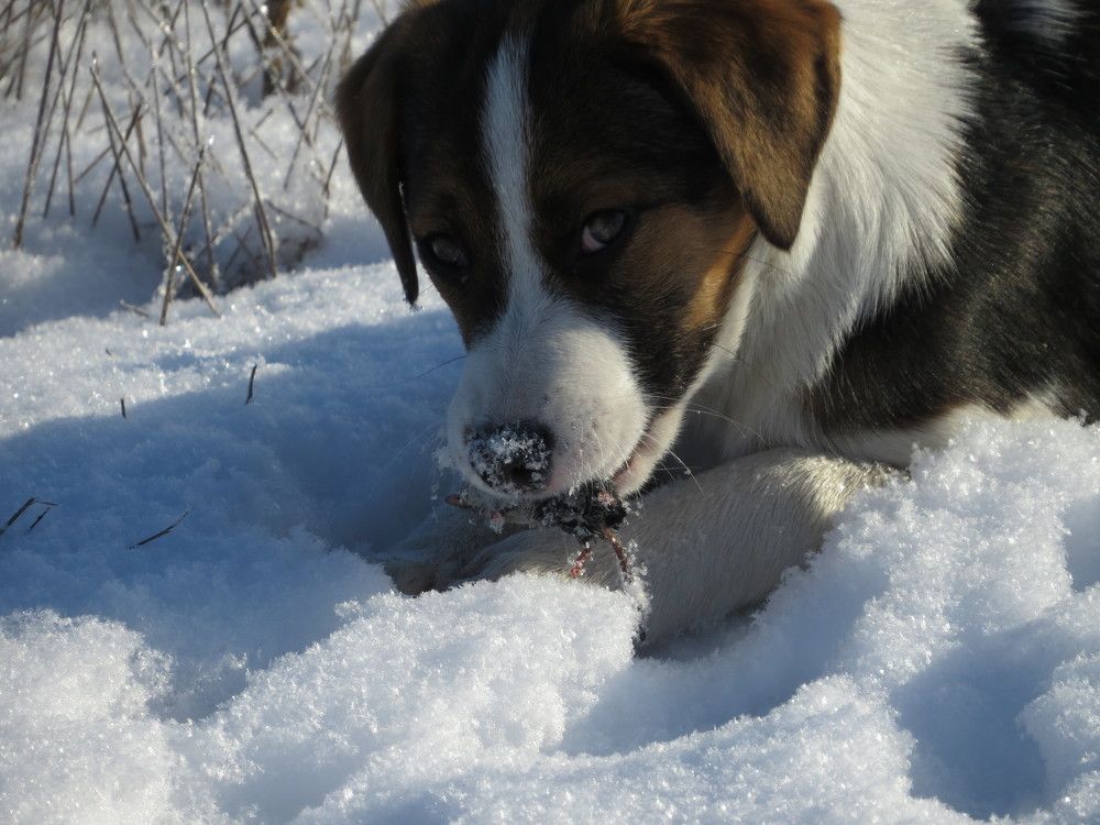 Photograph by Лариса Басова
