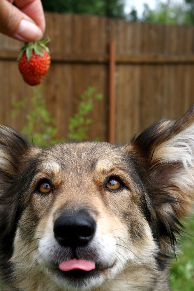 Предвкушение!..