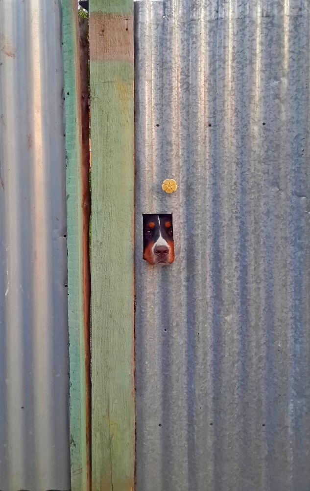 Кто здесь?..